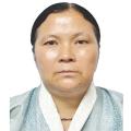 Chief Dzongkhag Engineer